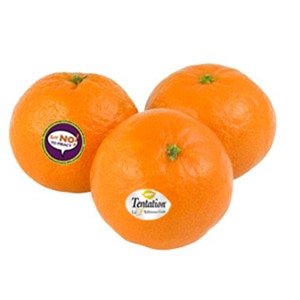 Mandarijn met sticker - Afbeelding 1
